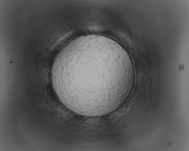 X0000096701205200802051402