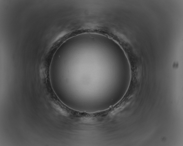 X0000096701206200802051402