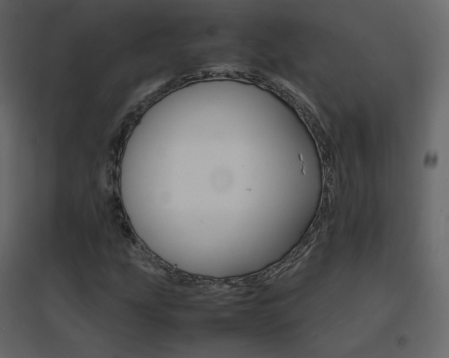 X0000096701207200802051402