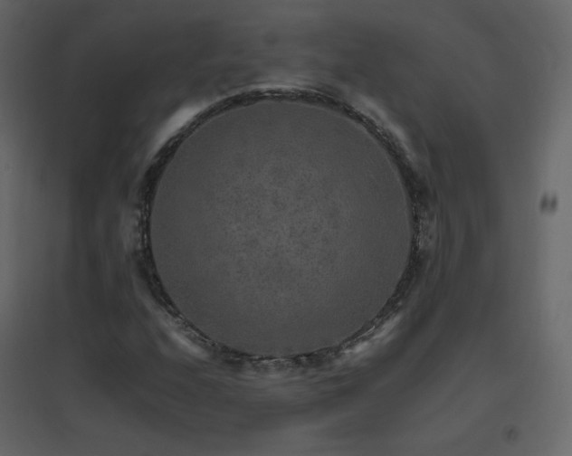 X0000096701208200802051402
