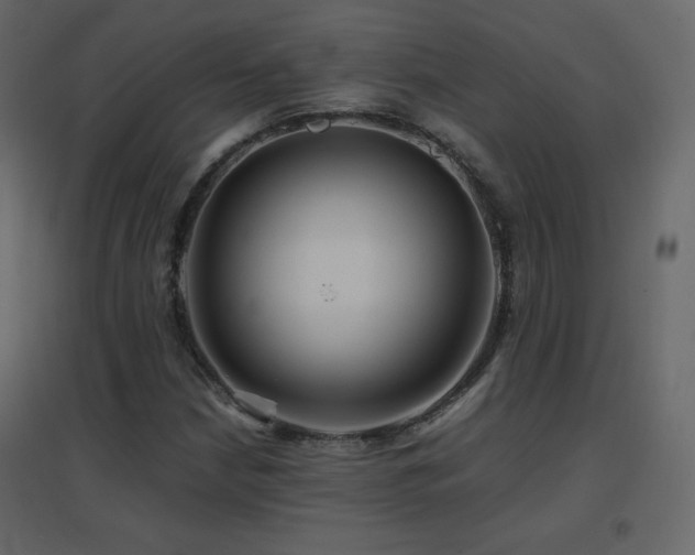 X0000096701210200802051402