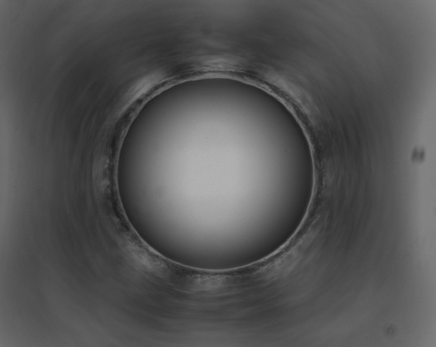 X0000096701211200802051402