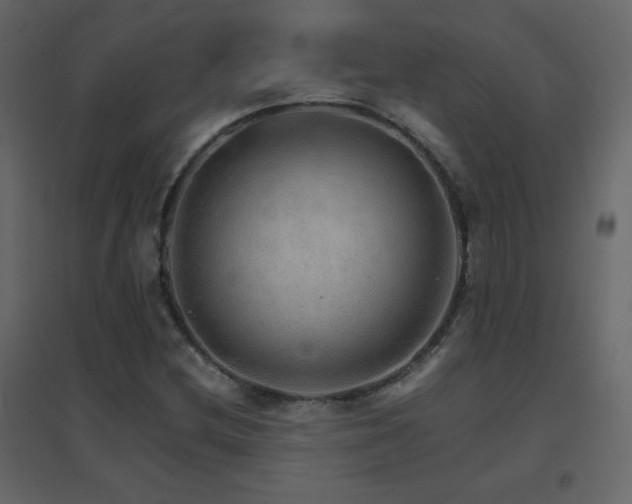 X0000096701212200802051402