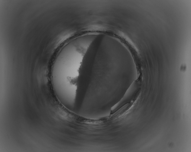 X0000096701213200802051402