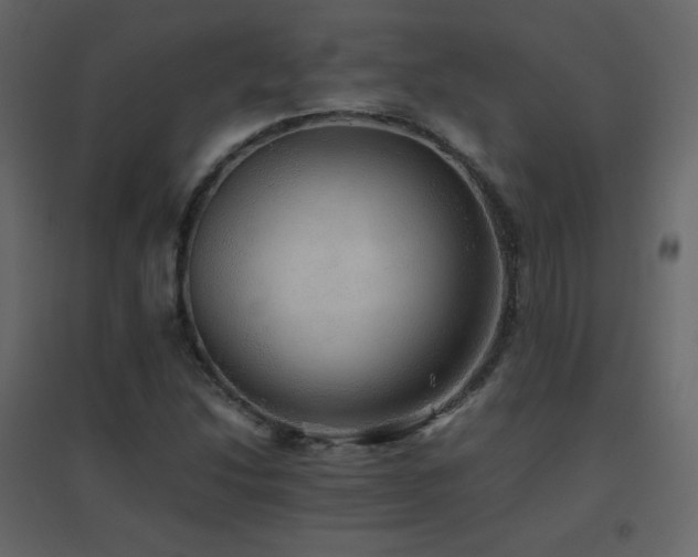 X0000096701214200802051402