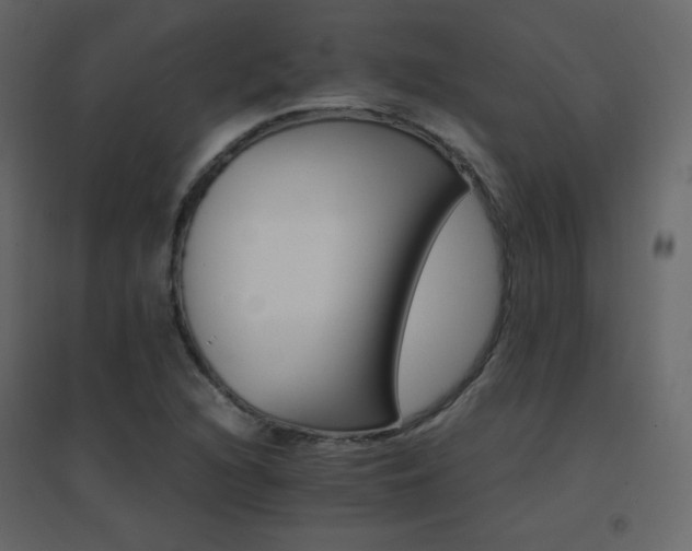X0000096701216200802051402