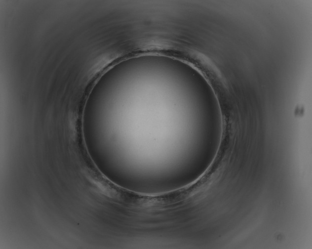 X0000096701217200802051402