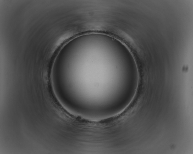 X0000096701218200802051402