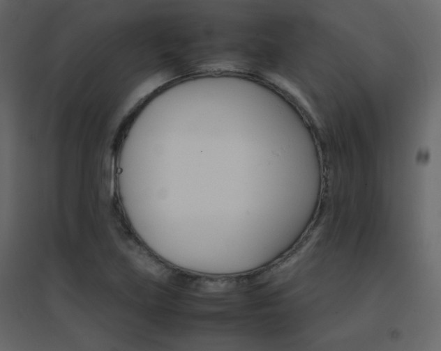 X0000096701219200802051402