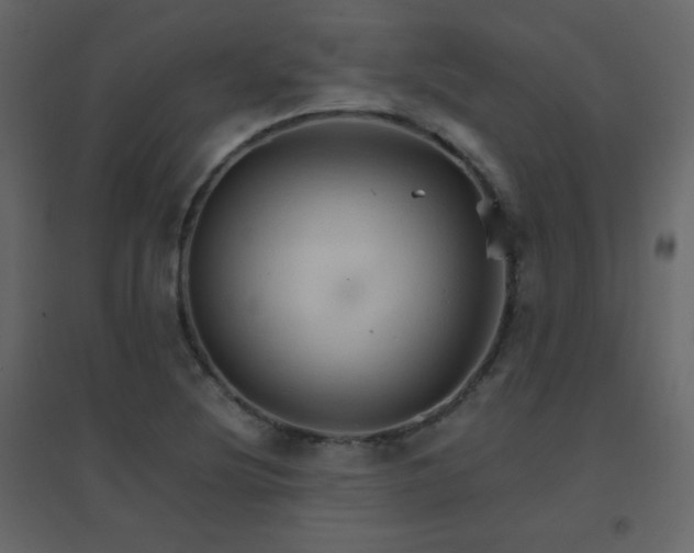 X0000096701220200802051402
