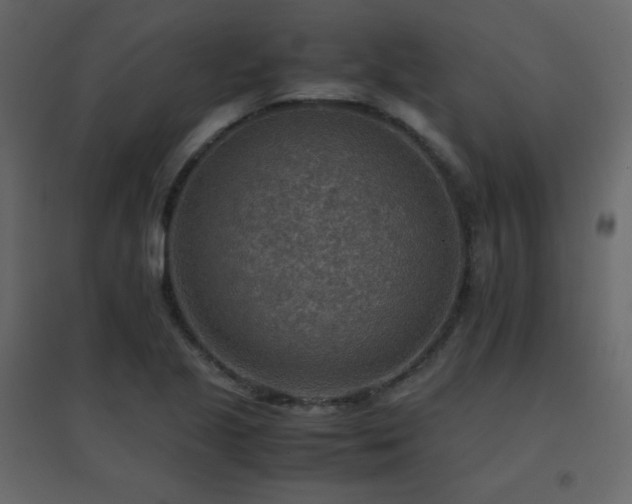 X0000096701221200802051402