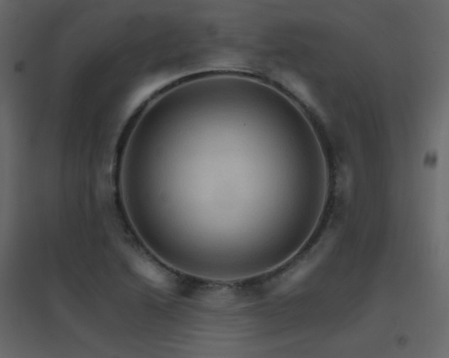X0000096701222200802051402