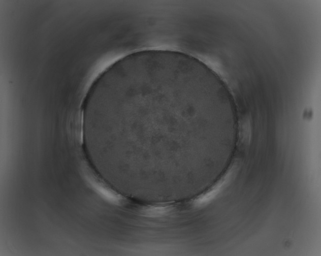 X0000096701223200802051403