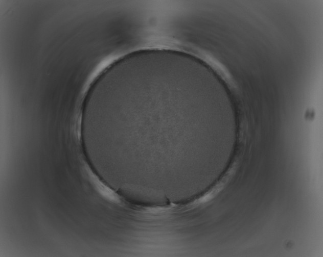 X0000096701224200802051403