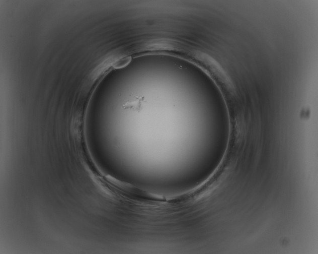 X0000096701225200802051403