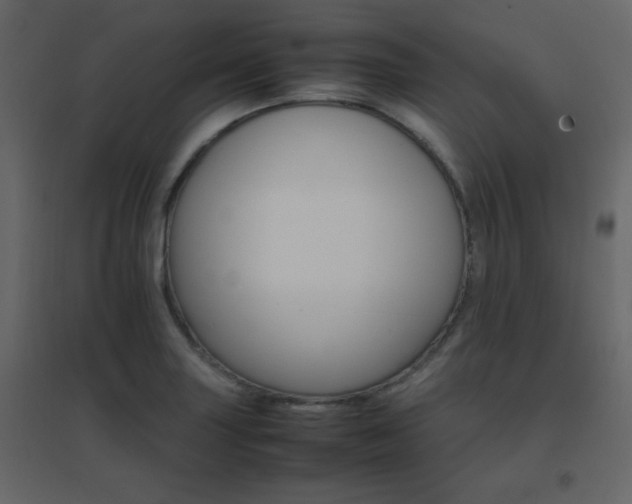 X0000096701227200802051403