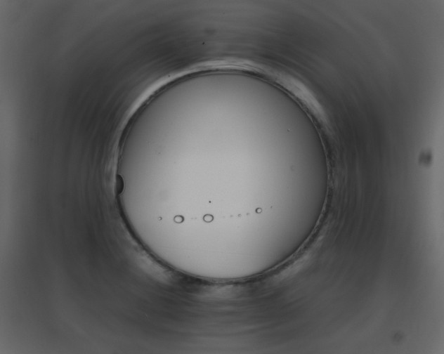 X0000096701228200802051403