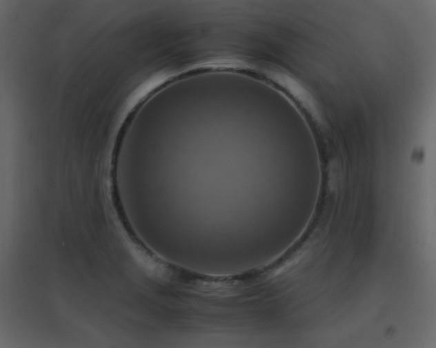 X0000096701229200802051403