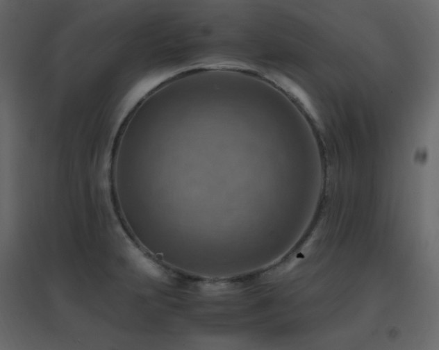 X0000096701231200802051403