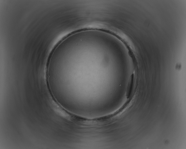 X0000096701232200802051403