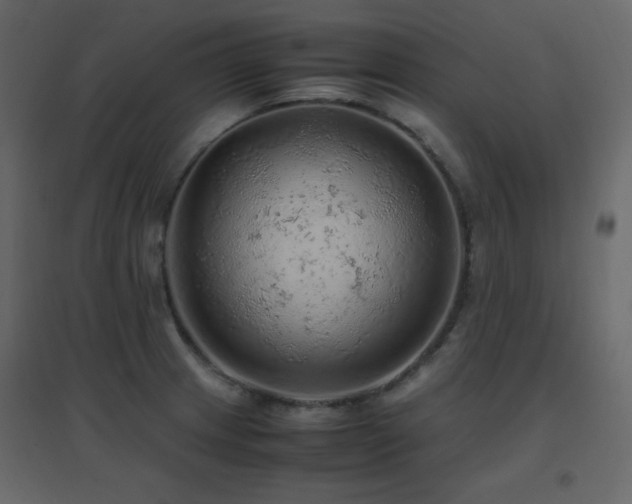 X0000096701233200802051403