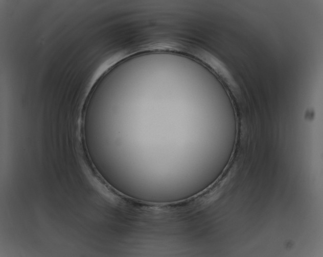 X0000096701234200802051403