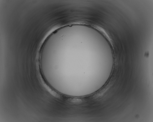 X0000096701235200802051403