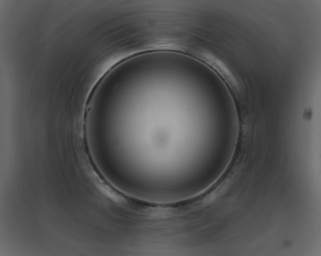 X0000096701236200802051403