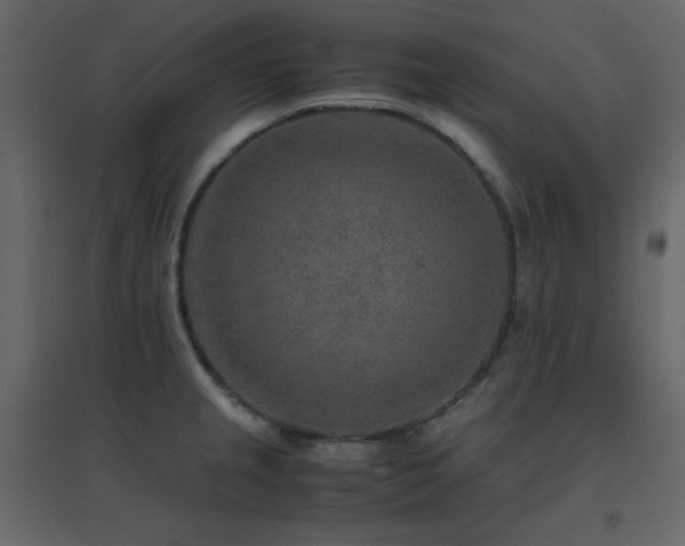 X0000096701237200802051403