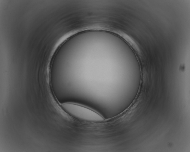 X0000096701238200802051403