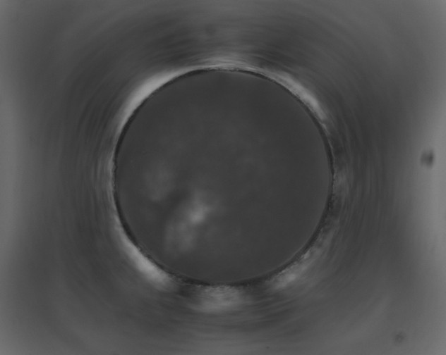 X0000096701239200802051403