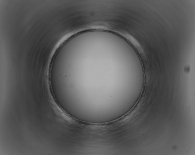 X0000096701240200802051403