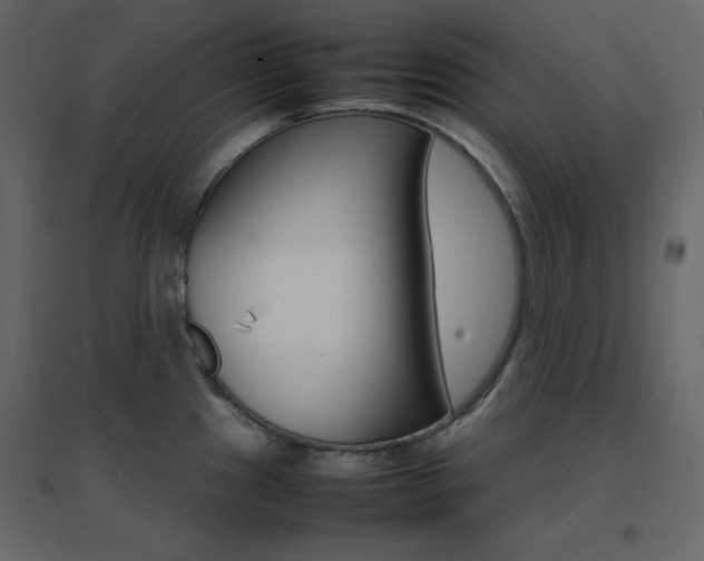 X0000096701241200802051403