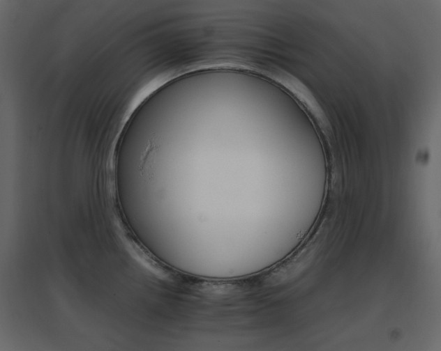 X0000096701242200802051403