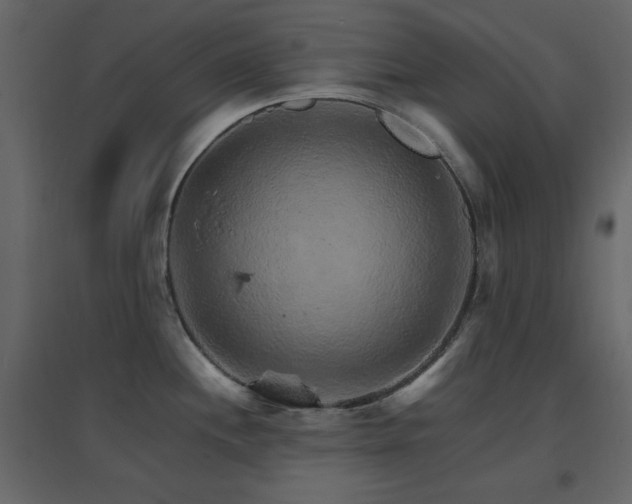 X0000096701244200802051403