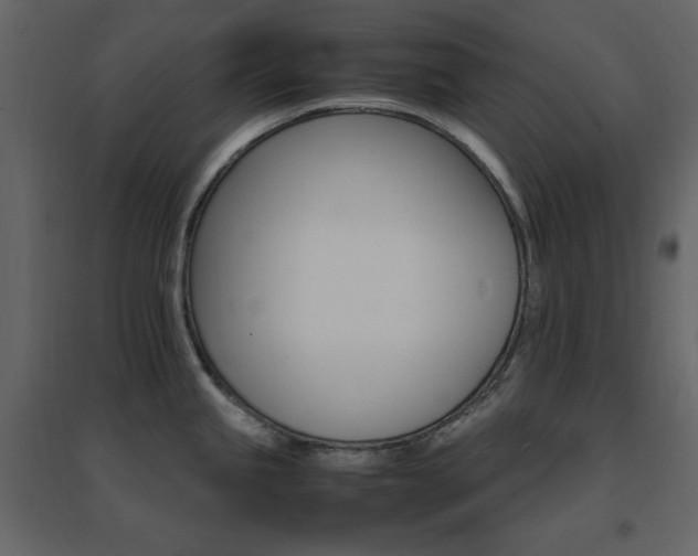 X0000096701245200802051403