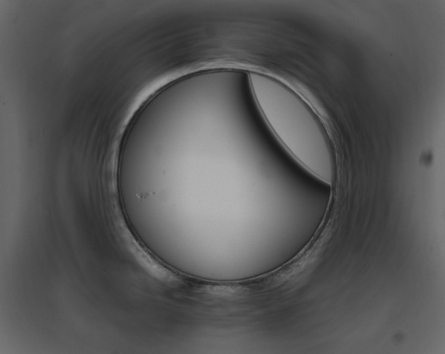 X0000096701246200802051403