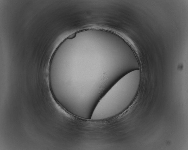 X0000096701247200802051403