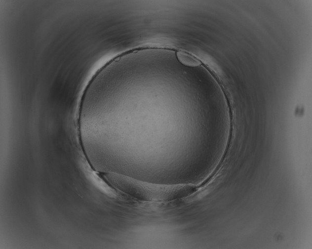 X0000096701248200802051403