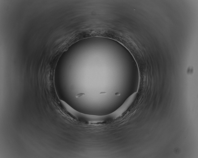 X0000096701250200802051402