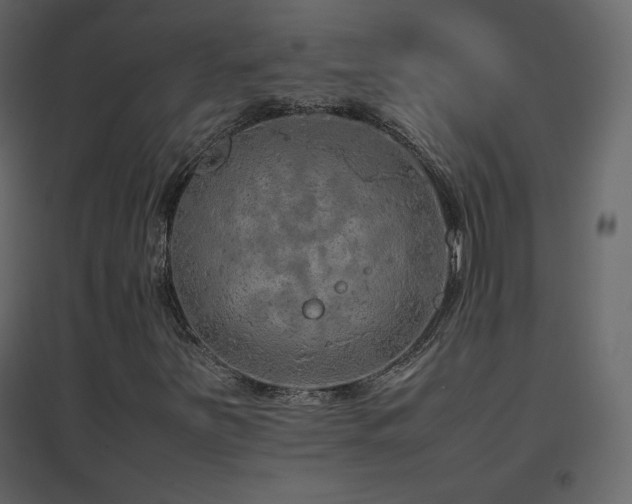X0000096701251200802051402