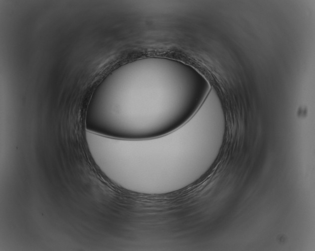 X0000096701252200802051402