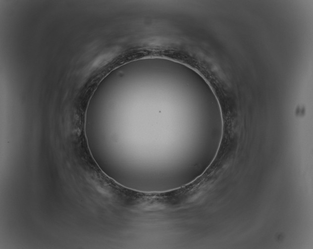 X0000096701253200802051402