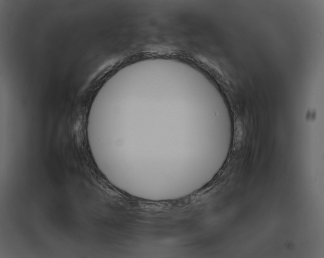 X0000096701254200802051402