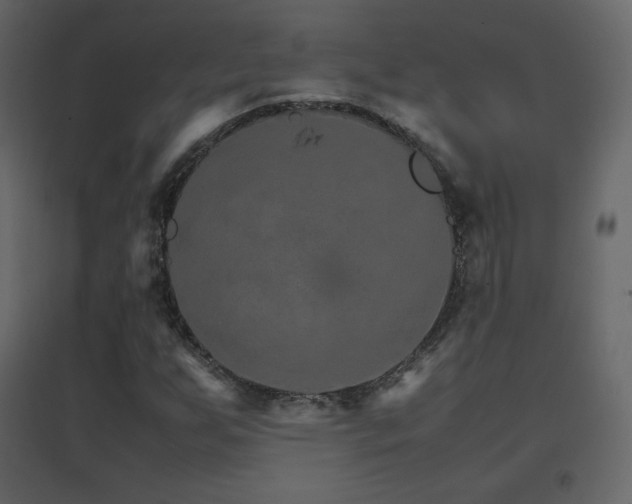 X0000096701255200802051402
