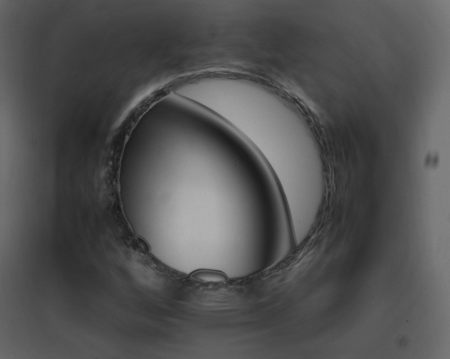X0000096701256200802051402