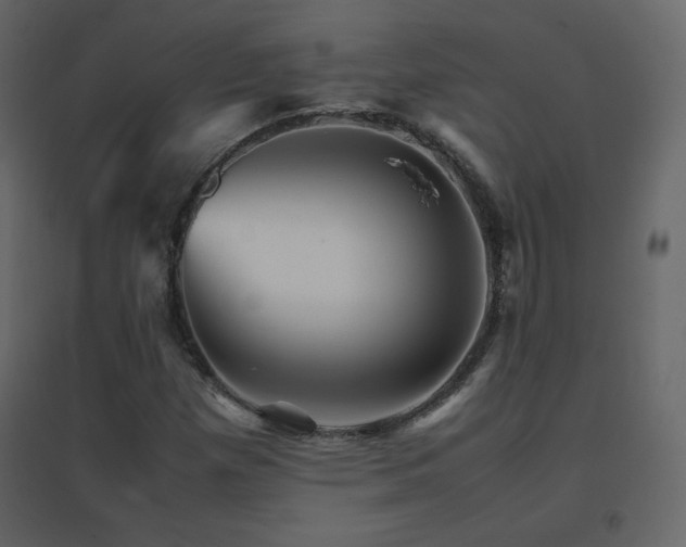 X0000096701257200802051402