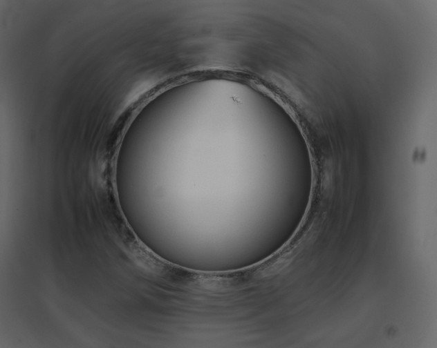 X0000096701258200802051402