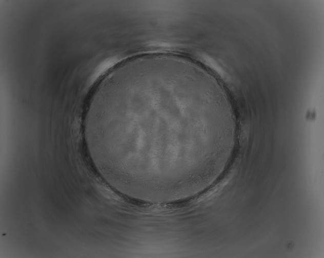 X0000096701259200802051402