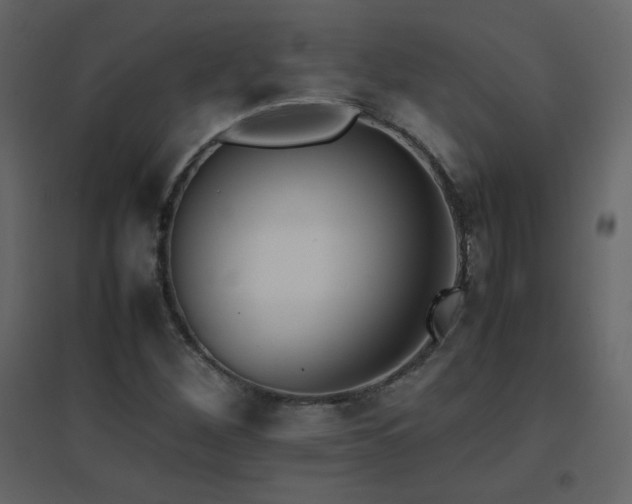 X0000096701260200802051402